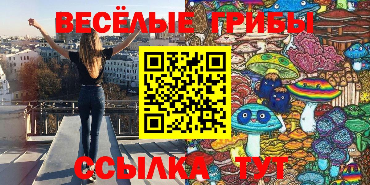 Псилоцибиновые грибы мицелий Семилуки
